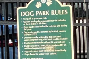 172 Sonata Cir, Pooler, GA 31322 - Photo 43