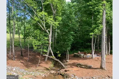 Lot 141 Twisted Oak Road, Talking Rock, GA 30175 - Photo 19