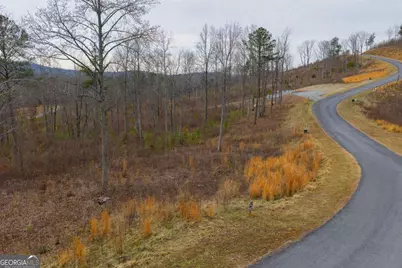 Lot 142 Twisted Oak Road, Talking Rock, GA 30175 - Photo 3