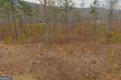 Lot 142 Twisted Oak Road, Talking Rock, GA 30175 - Photo 5