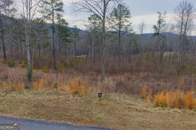 Lot 142 Twisted Oak Road, Talking Rock, GA 30175 - Photo 11