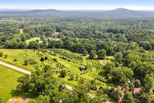 2037 Jeff Davis Rd, Thomaston, GA 30286 - Photo 1