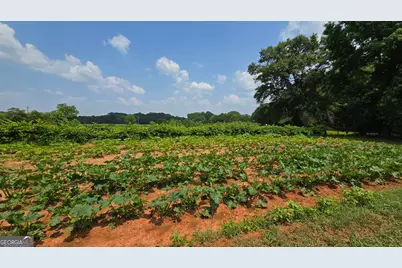 2037 Jeff Davis Road, Thomaston, GA 30286 - Photo 49