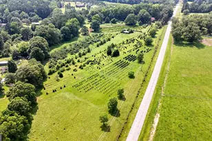 2037 Jeff Davis Rd, Thomaston, GA 30286 - Photo 57