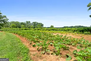 2037 Jeff Davis Rd, Thomaston, GA 30286 - Photo 33