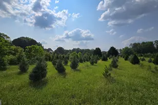 2037 Jeff Davis Rd, Thomaston, GA 30286 - Photo 35