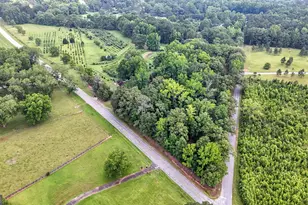 2037 Jeff Davis Rd, Thomaston, GA 30286 - Photo 3