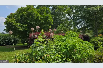 2037 Jeff Davis Road, Thomaston, GA 30286 - Photo 43