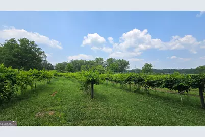 2037 Jeff Davis Road, Thomaston, GA 30286 - Photo 31