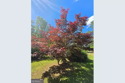 2037 Jeff Davis Road, Thomaston, GA 30286 - Photo 53