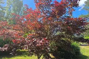 2037 Jeff Davis Rd, Thomaston, GA 30286 - Photo 53