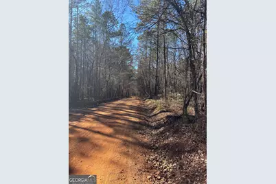 0 Carl Mathis Road, Talbotton, GA 31827 - Photo 1