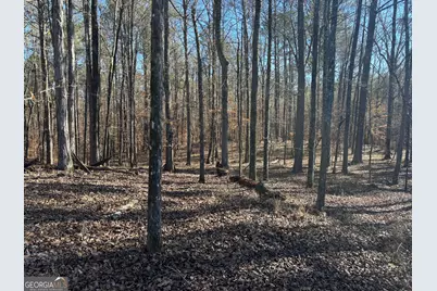 0 Carl Mathis Road, Talbotton, GA 31827 - Photo 9