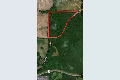 0 Carl Mathis Road, Talbotton, GA 31827 - Photo 11