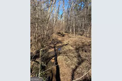 0 Carl Mathis Road, Talbotton, GA 31827 - Photo 3
