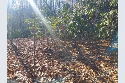 0 Lot 14 &amp; 15 Honey Bear, Dillard, GA 30537 - Photo 5