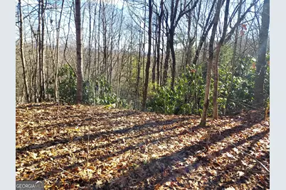 0 Lot 14 &amp; 15 Honey Bear, Dillard, GA 30537 - Photo 11