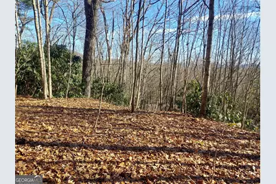 0 Lot 14 &amp; 15 Honey Bear, Dillard, GA 30537 - Photo 1