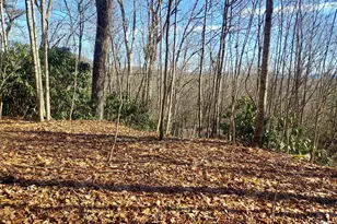 0 Lot 14 &amp 15 Honey Bear, Dillard, GA 30537 - Photo 1