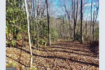 0 Lot 14 &amp; 15 Honey Bear, Dillard, GA 30537 - Photo 13