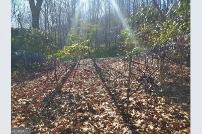 0 Lot 14 &amp; 15 Honey Bear, Dillard, GA 30537 - Photo 9