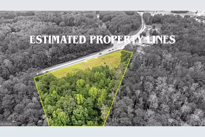 0 Poplar Road, Sharpsburg, GA 30277 - Photo 3