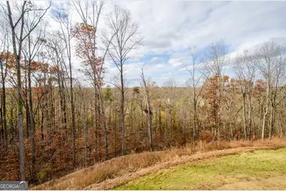 8555 Scenic Ridge Way, Ball Ground, GA 30107 - Photo 55