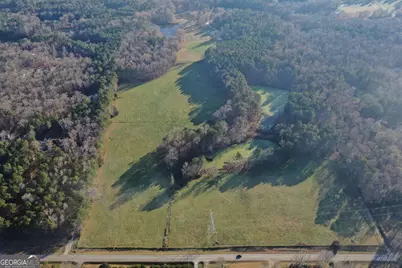 19.6 Acres Grant Road, Fayetteville, GA 30215 - Photo 3