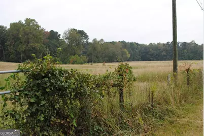 19.6 Acres Grant Road, Fayetteville, GA 30215 - Photo 15