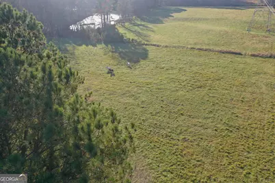 19.6 Acres Grant Road, Fayetteville, GA 30215 - Photo 7