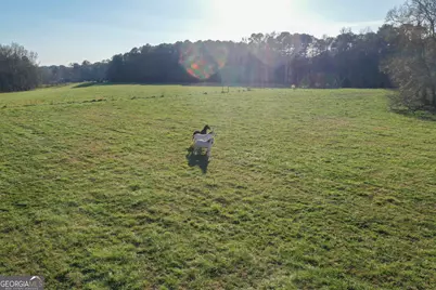 19.6 Acres Grant Road, Fayetteville, GA 30215 - Photo 5