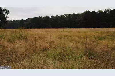 19.6 Acres Grant Road, Fayetteville, GA 30215 - Photo 11