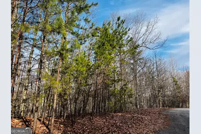 Lot 6 Planters Pointe Drive, Baldwin, GA 30511 - Photo 3