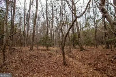 0 Hwy 315, Waverly Hall, GA 31831 - Photo 13