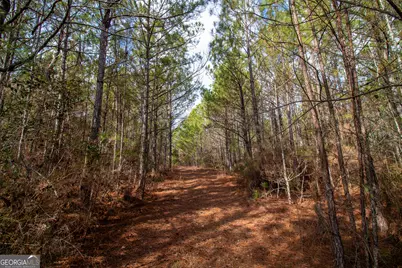 0 Hwy 315, Waverly Hall, GA 31831 - Photo 5