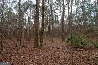 0 Hwy 315, Waverly Hall, GA 31831 - Photo 9