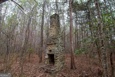 0 Hwy 315, Waverly Hall, GA 31831 - Photo 11