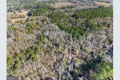 0 Big Pond Lane, Thomasville, GA 31757 - Photo 11