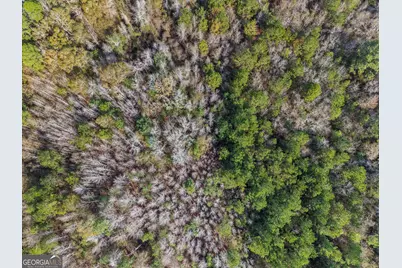 0 Big Pond Lane, Thomasville, GA 31757 - Photo 13