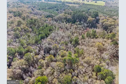 0 Big Pond Lane, Thomasville, GA 31757 - Photo 15