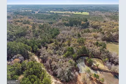 0 Big Pond Lane, Thomasville, GA 31757 - Photo 5