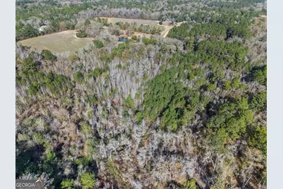 0 Big Pond Lane, Thomasville, GA 31757 - Photo 9