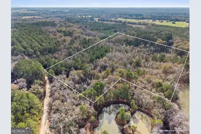 0 Big Pond Lane, Thomasville, GA 31757 - Photo 3