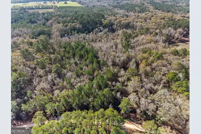0 Big Pond Lane, Thomasville, GA 31757 - Photo 17