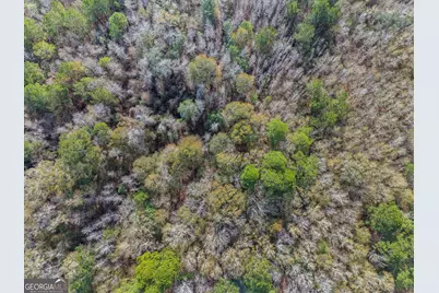 0 Big Pond Lane, Thomasville, GA 31757 - Photo 7