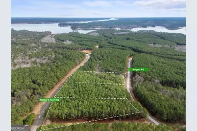 0 Rogers Road, Tignall, GA 30668 - Photo 3