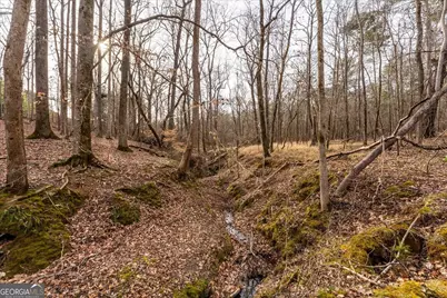 0 Winding Ridge Drive, Tignall, GA 30668 - Photo 9