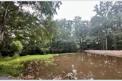 635 Jackson Lake Road, Mansfield, GA 30055 - Photo 65