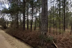 0 Nobles Rd, Chester, GA 31012 - Photo 1