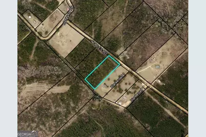 0 Nobles Road, Chester, GA 31012 - Photo 7